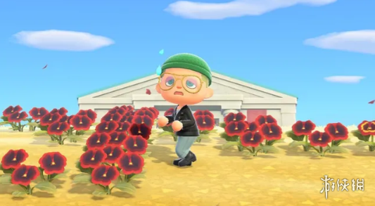 《动物森友会》更新引争议！全新模式被指限制过多