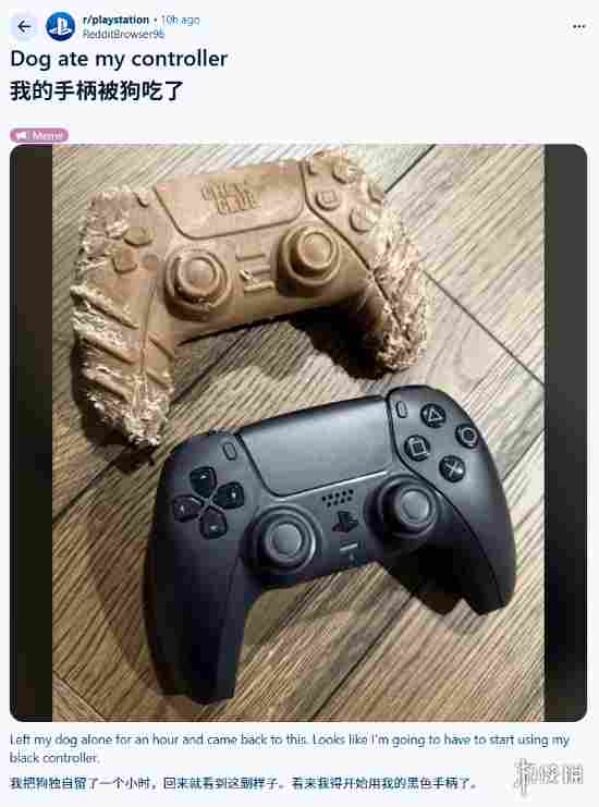 Reddit网友分享“PS5手柄”被自家狗狗撕咬后的惨状