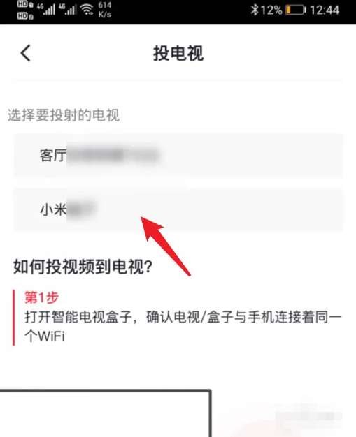 央视频怎么投屏到电视上?央视频投屏到电视上的步骤截图