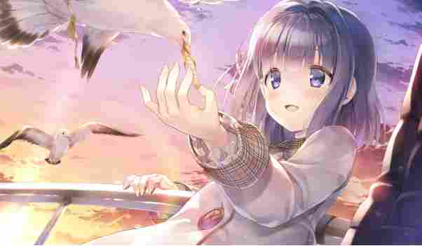 由MARMALADE制作的《Study § Steady》官方中文版Steam商店页面现已开放！